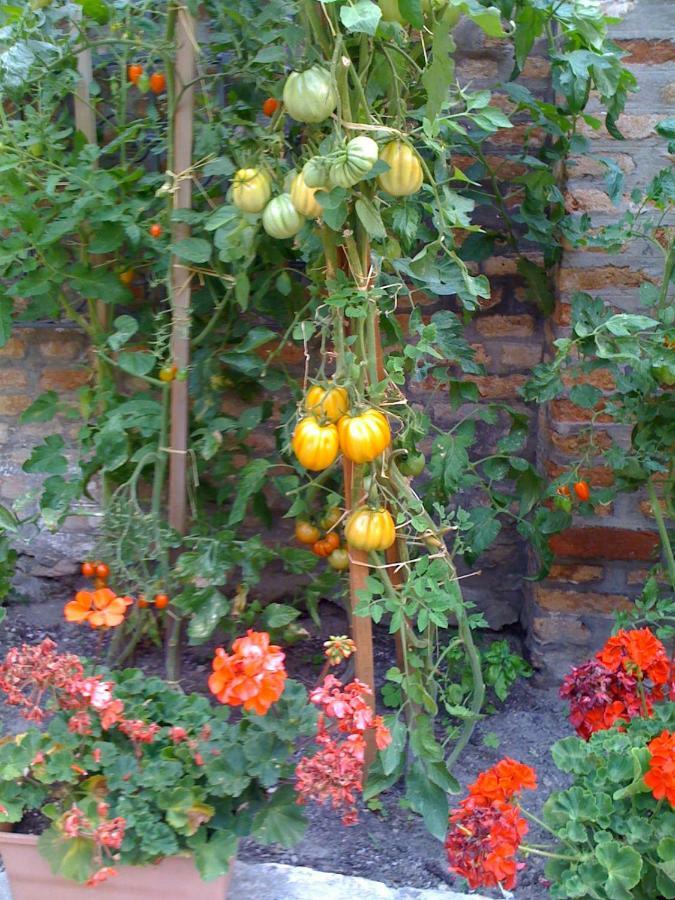 Appartamento Ca' Ermina & Garden Venezia Esterno foto